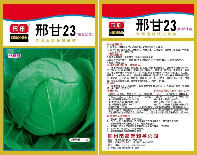 小铁头甘蓝种子个头大菜型好产量高抗病性强