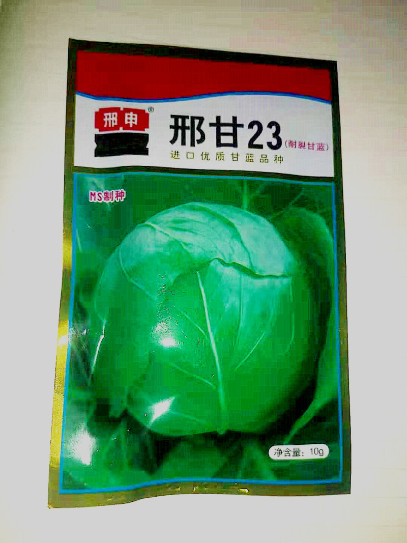 小铁头甘蓝种子个头大菜型好产量高抗病性强