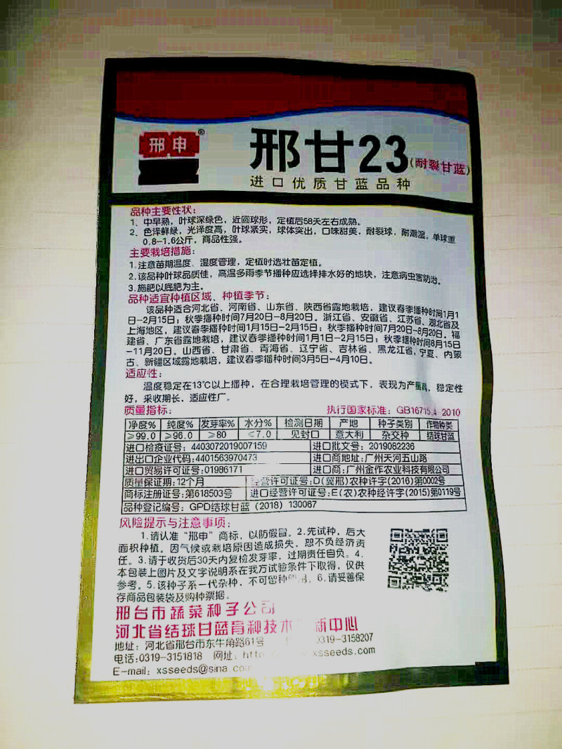 小铁头甘蓝种子个头大菜型好产量高抗病性强
