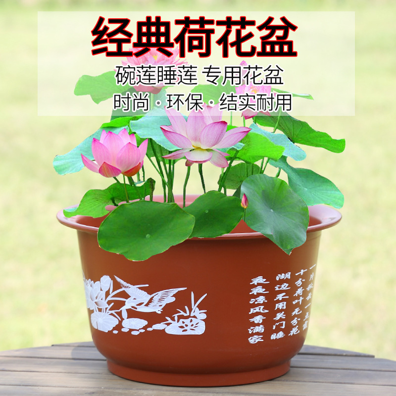 加厚荷花盆睡莲花盆碗莲盆树脂塑料花盆无孔水培花盆批发