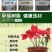 加厚荷花盆睡莲花盆碗莲盆树脂塑料花盆无孔水培花盆批发