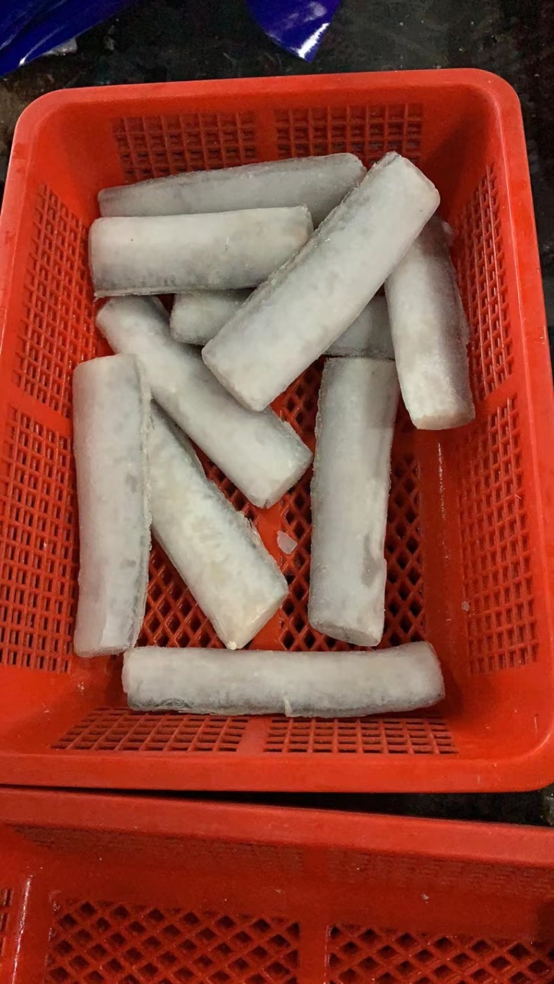 东海优质带鱼段，去头去尾，国产带鱼段