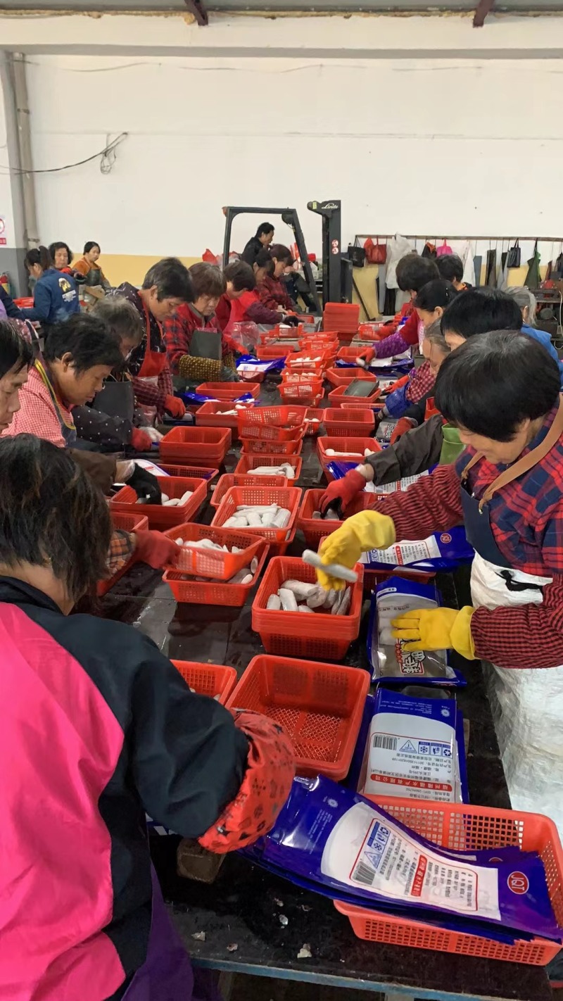东海优质带鱼段，去头去尾，国产带鱼段