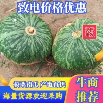 【牛商优选】板栗南瓜粉糯南瓜大量上市产地直发欢迎咨询