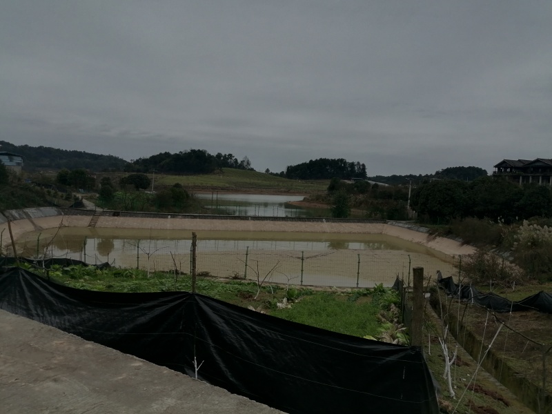 巴南区二圣镇140亩水库边上的种植地，有3个鱼塘。