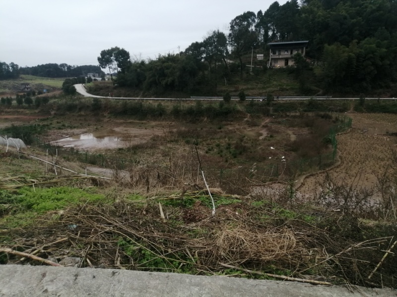巴南区二圣镇140亩水库边上的种植地，有3个鱼塘。