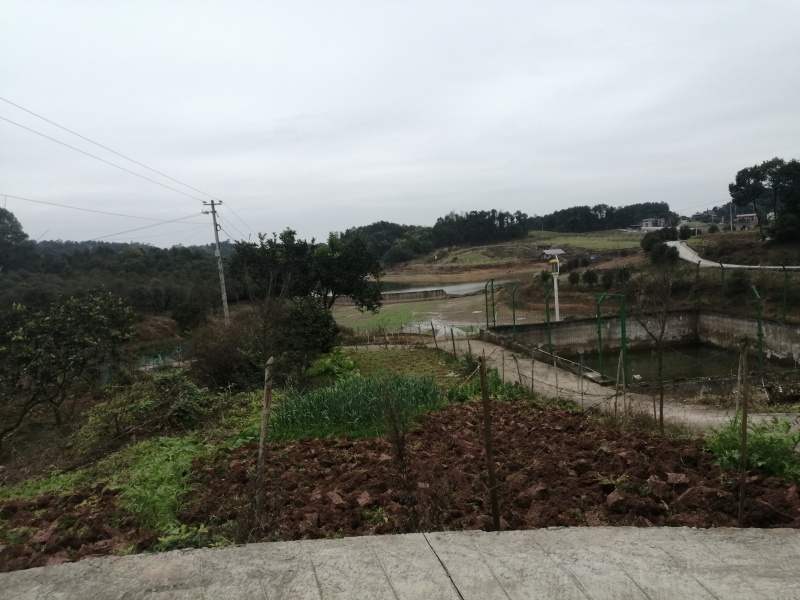 巴南区二圣镇140亩水库边上的种植地，有3个鱼塘。
