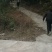 巴南区二圣镇养牛棚加20亩种植用地，牛棚1年1万