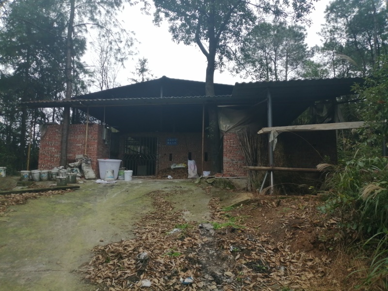 巴南区二圣镇养牛棚加20亩种植用地，牛棚1年1万