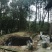 巴南区二圣镇养牛棚加20亩种植用地，牛棚1年1万