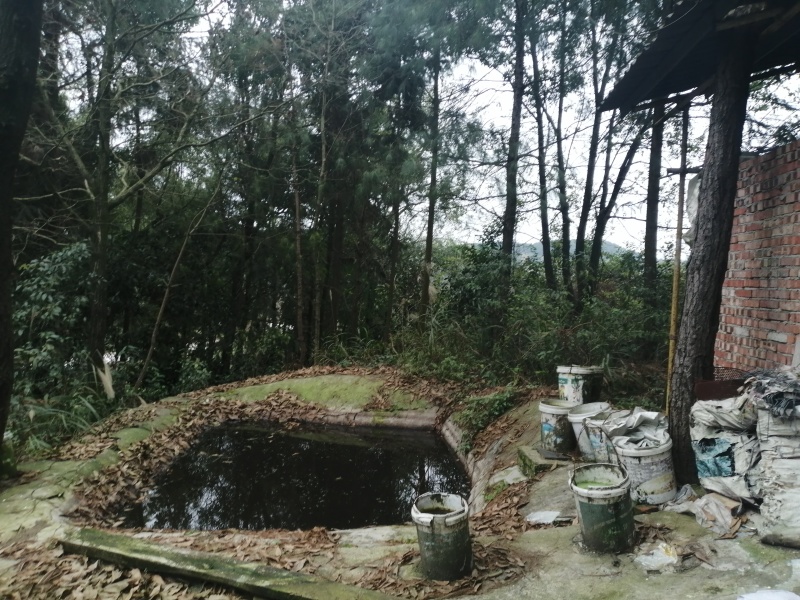 巴南区二圣镇养牛棚加20亩种植用地，牛棚1年1万