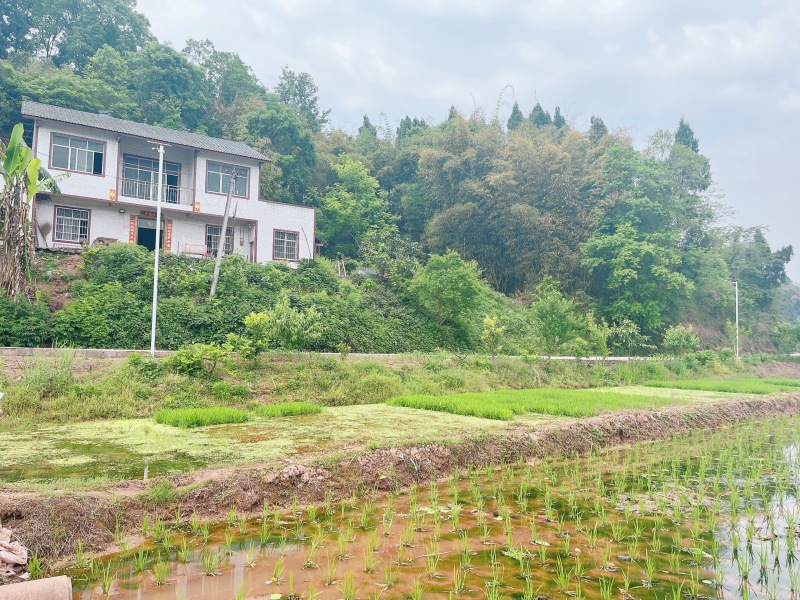 重庆荣昌农田300亩，农业排水，山平塘，500一亩，
