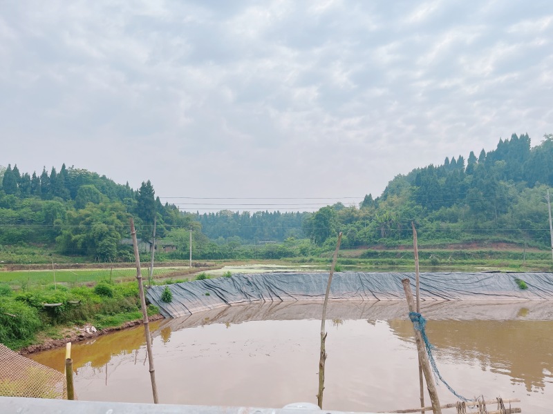 重庆荣昌农田300亩，农业排水，山平塘，500一亩，