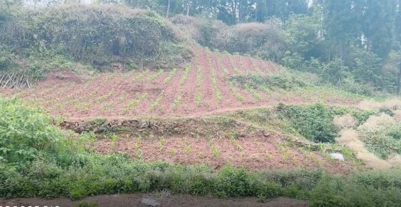 重庆荣昌区厂房建设用地，500亩，在高速下道口