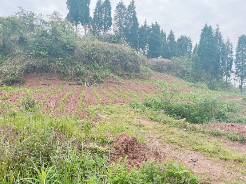 重庆荣昌区厂房建设用地，500亩，在高速下道口