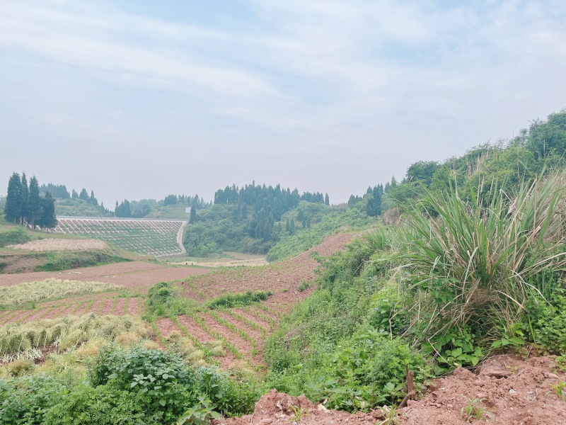 重庆荣昌区厂房建设用地，500亩，在高速下道口
