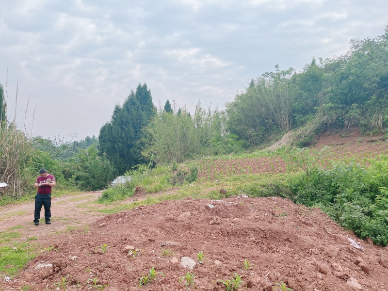 重庆荣昌区厂房建设用地，500亩，在高速下道口