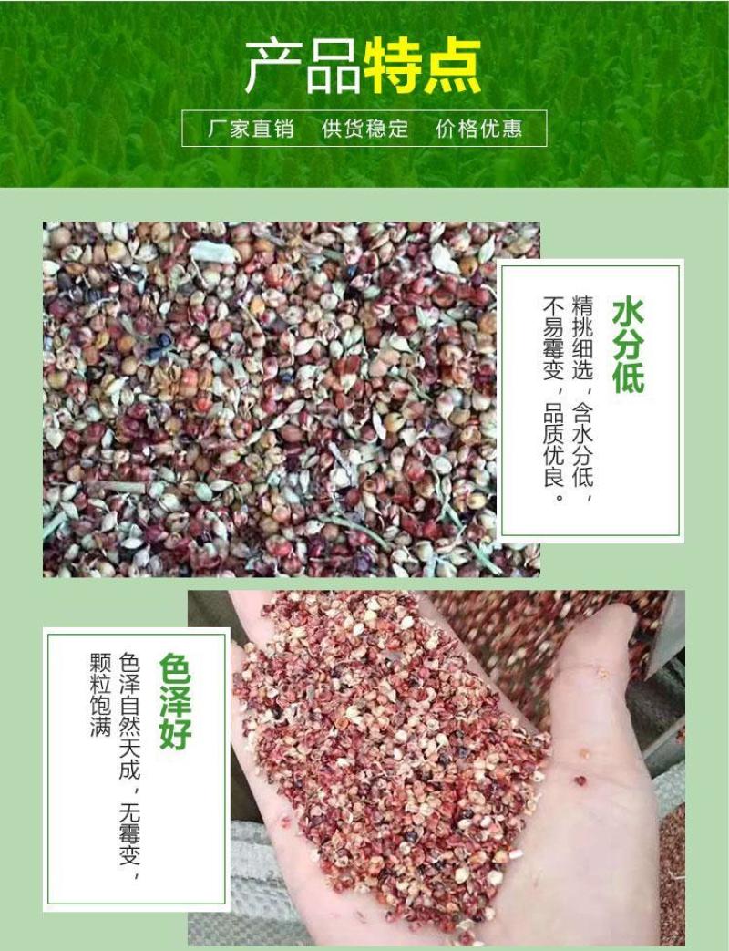 厂家供应好高粱壳干净过筛枕头座垫填充牛羊饲料高粱糠