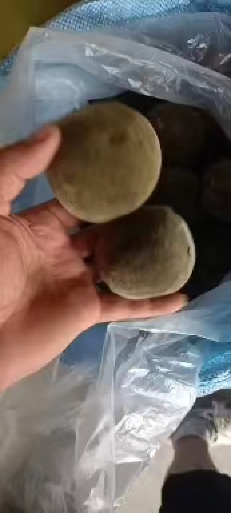 化州橘红果，正宗化橘红，精品货源，诚信经营，欢迎选购