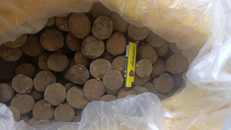 化州橘红果，正宗化橘红，精品货源，诚信经营，欢迎选购