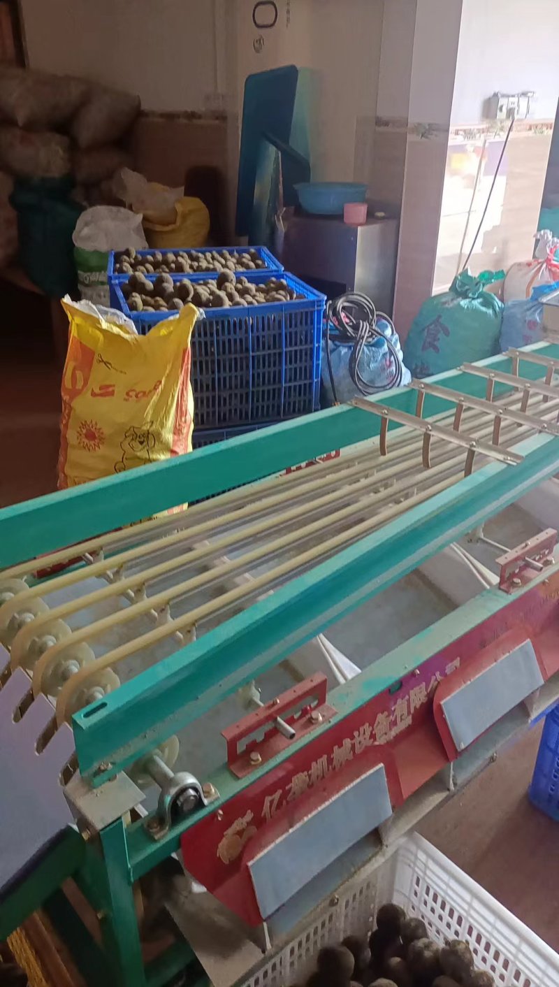 化州橘红果，正宗化橘红，精品货源，诚信经营，欢迎选购