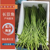 【推荐】城固青豇豆酱菜厂可用长豆角全国