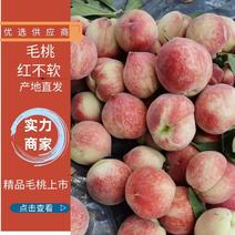 【精选】毛桃红不软暙雪突围夏红美佳大量有货基地直供