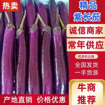 （基地直供）云南建水紫长茄，保质保量，诚信经营，实力代办
