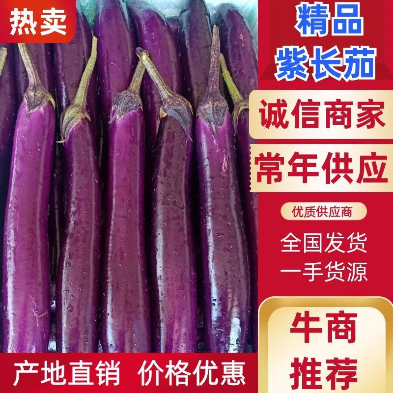 （基地直供）云南建水紫长茄，保质保量，诚信经营，实力代办