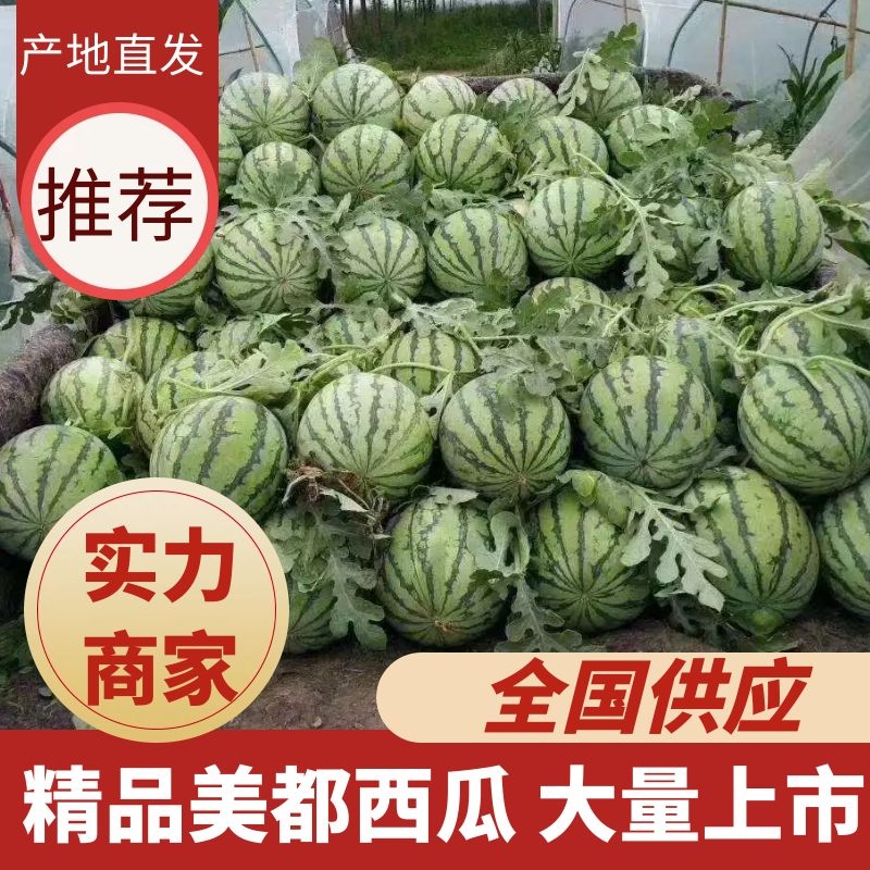 [美都西瓜批发]湖北襄阳宜城市西瓜 0.30元/斤精品美都西瓜 _ 一亩田