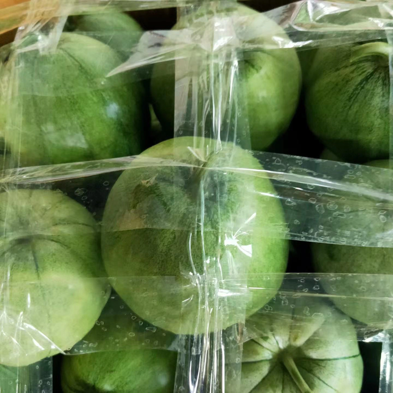 【精品】绿宝甜瓜产地直销品质保证对接各类客户