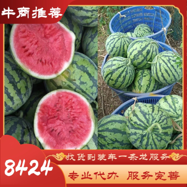 【热卖】8424西瓜大量上市产地直销质量有保证全国发货