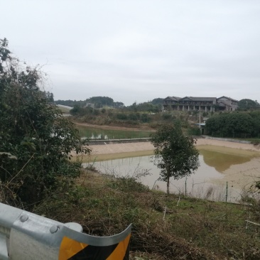 巴南区二圣镇140亩水库边上的种植地，有3个鱼塘。价格8