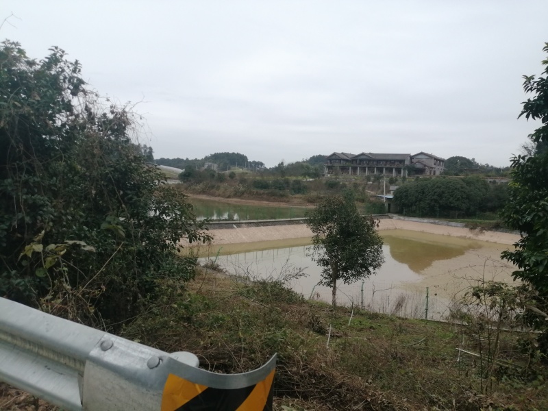 巴南区二圣镇140亩水库边上的种植地，有3个鱼塘。价格8