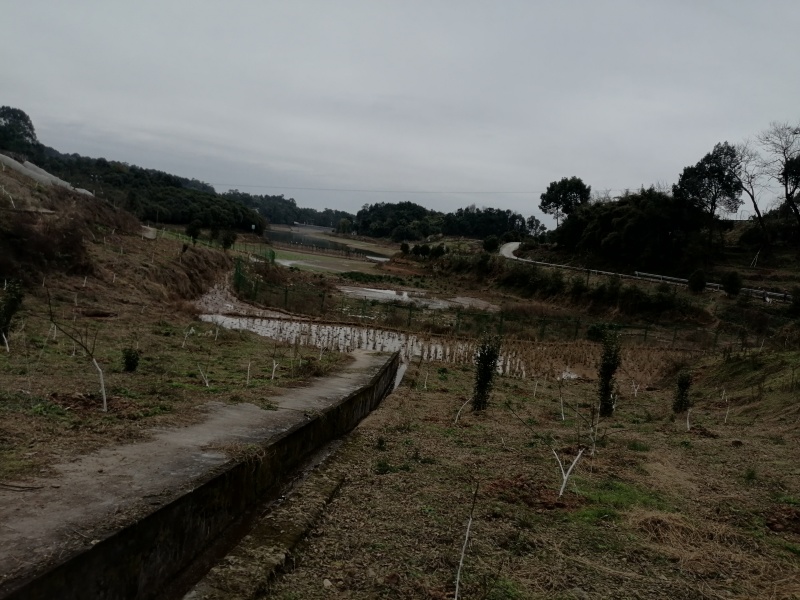 巴南区二圣镇140亩水库边上的种植地，有3个鱼塘。价格8