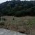巴南区二圣镇140亩水库边上的种植地，有3个鱼塘。价格8
