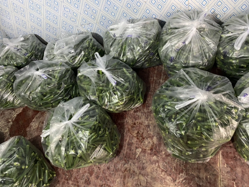 【精品】秋葵黄秋葵基地直供一手货源对接电商直播全国走货等