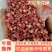 陕西大红袍花椒，干花椒颗粒，红花椒净货，色选货。