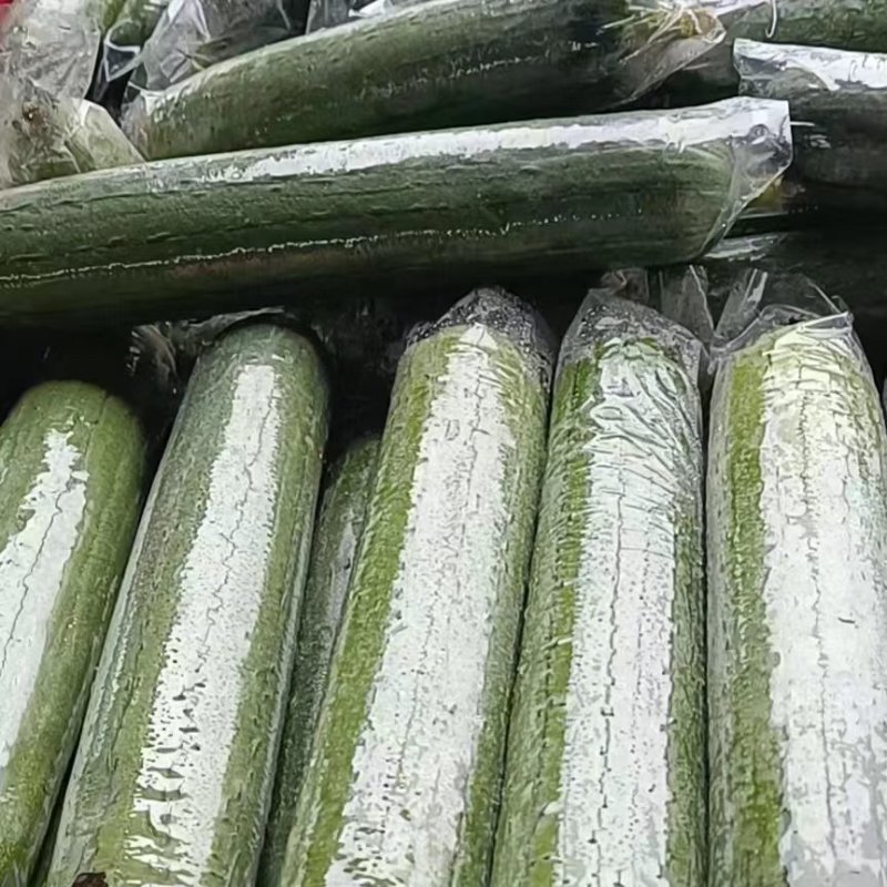 丝瓜，套水瓜，无棱丝瓜，香水瓜，油皮丝瓜