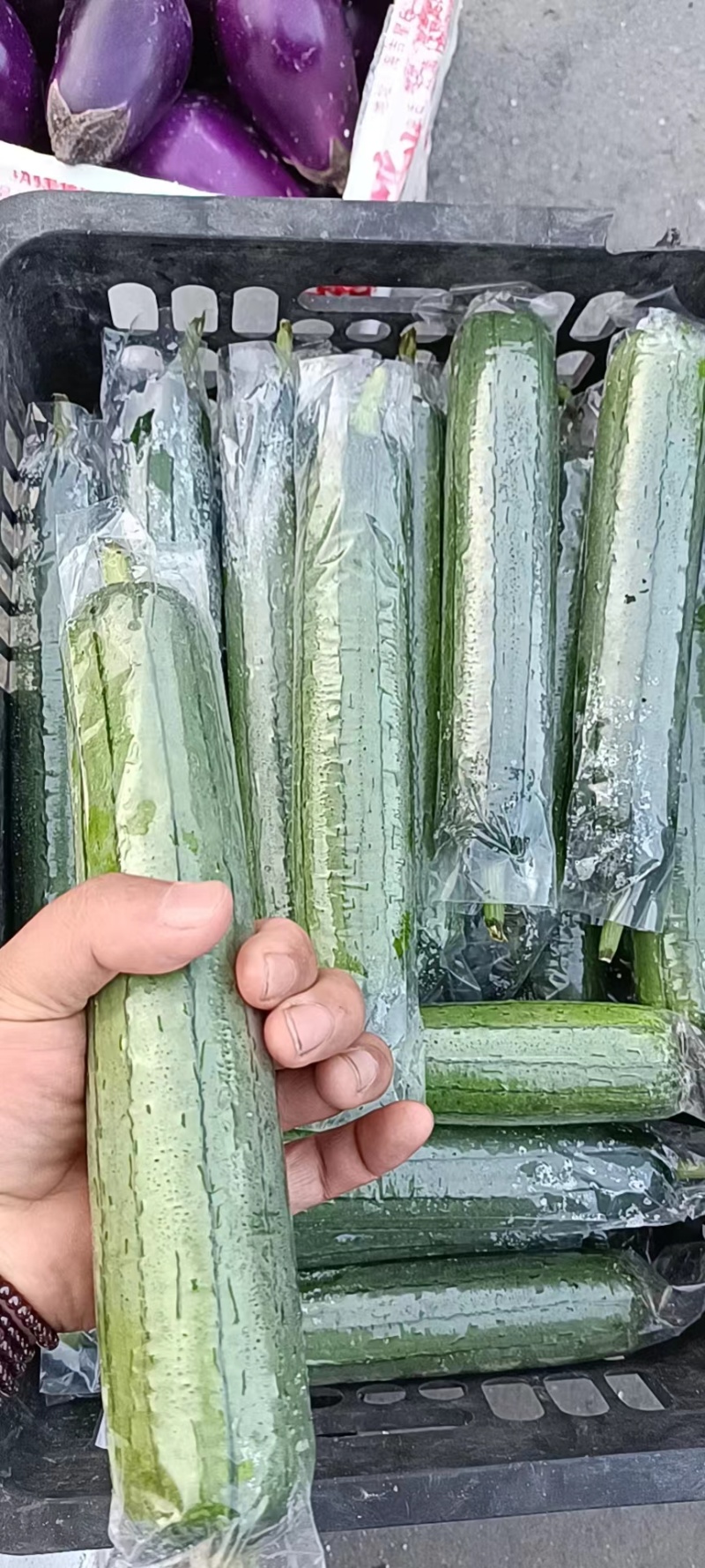丝瓜，套水瓜，无棱丝瓜，香水瓜，油皮丝瓜