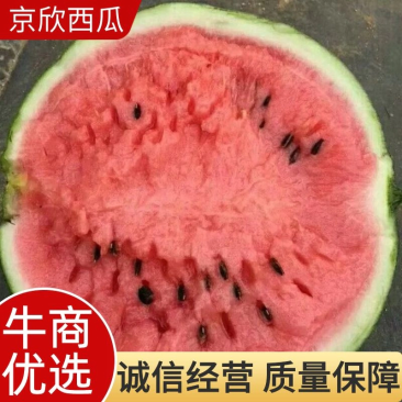 【推荐】天津静海京欣西瓜台头西瓜大量糖度15个，欢迎选购