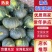 【精品】板栗南瓜，大量现货供应各种南瓜可视频看货