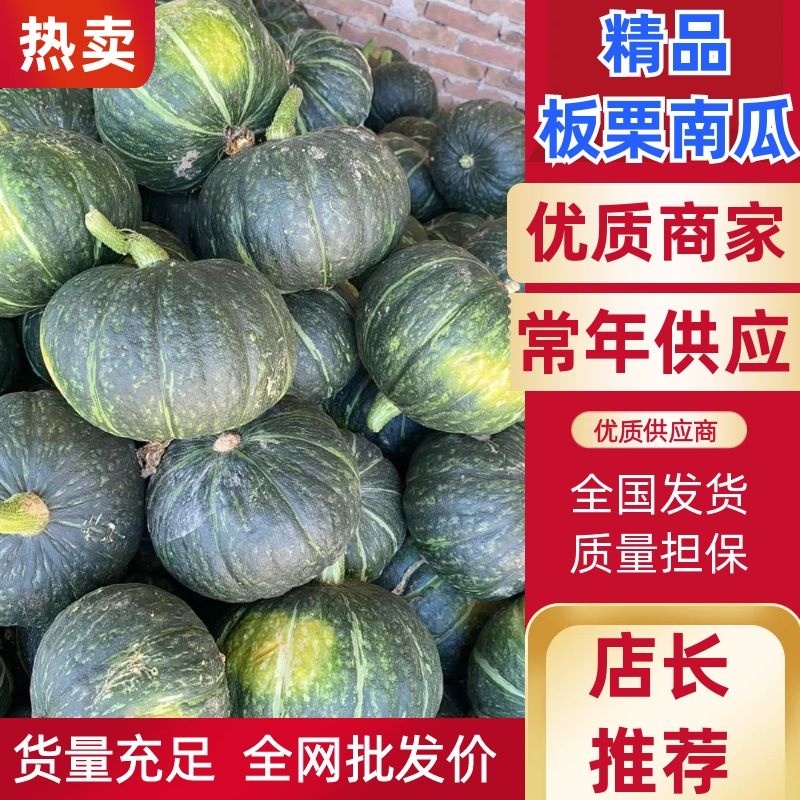 【精品】板栗南瓜，大量现货供应各种南瓜可视频看货