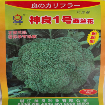 神良1号西兰花种子花椰菜种子杂交高产热耐耐寒花蕾兰绿