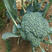 神良西兰花种子神良1花椰菜种子杂交高产热耐耐寒大田10克