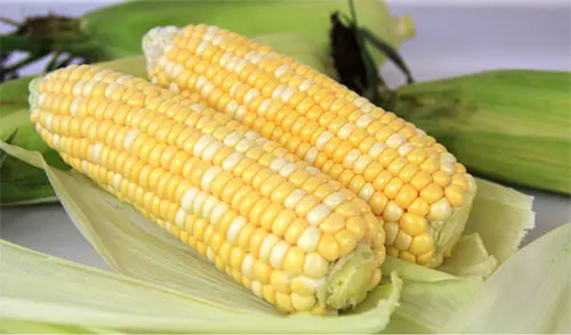 水果玉米太阳花产地直发量大价优保质保量