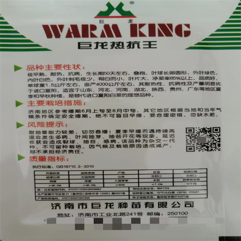 巨龙热抗王白菜种子耐热38度抗热夏和大白菜种籽产量早熟夏