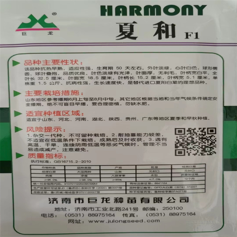 巨龙白菜种子耐热38度抗热夏和大白菜种子产量早熟夏