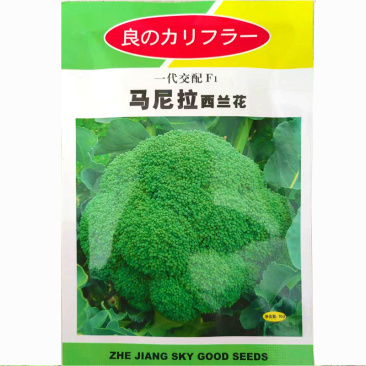 马尼拉西兰花种子早熟花椰菜绿菜花种籽杂交高产热耐大田
