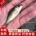 顺床水厂各种鱼苗齐全。成品齐全欢迎老板们合作量大从优欢迎